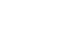 5 Canucks Logo